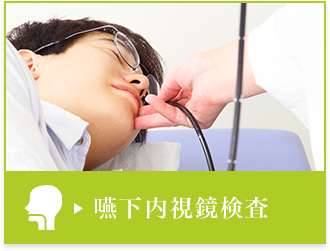 嚥下内視鏡検査